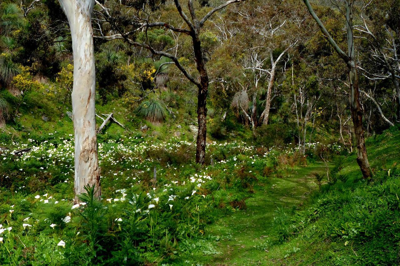 Lure Bed And Breakfast Normanville Buitenkant foto