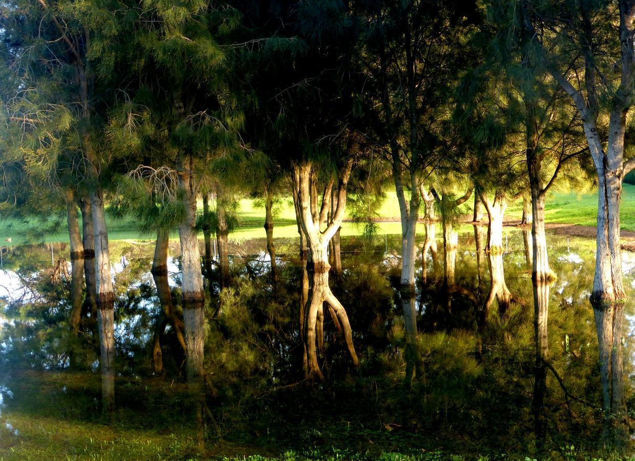 Lure Bed And Breakfast Normanville Buitenkant foto
